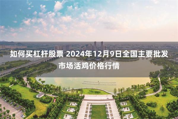 如何买杠杆股票 2024年12月9日全国主要批发市场活鸡价格行情