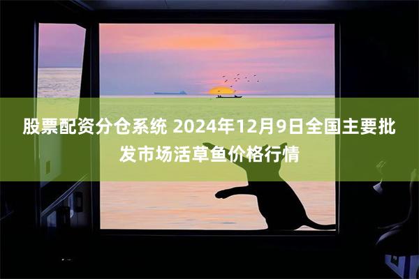 股票配资分仓系统 2024年12月9日全国主要批发市场活草鱼价格行情