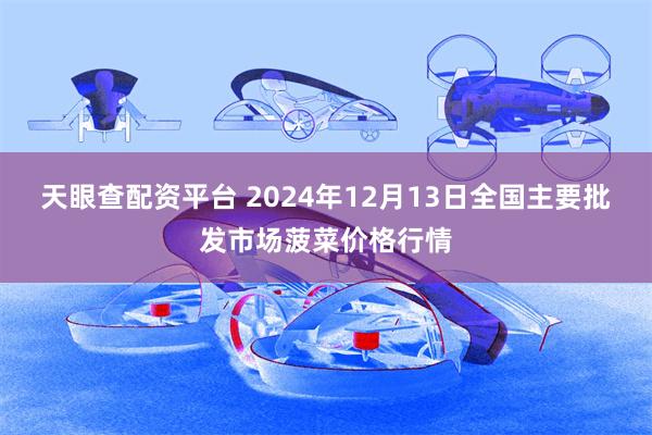 天眼查配资平台 2024年12月13日全国主要批发市场菠菜价格行情