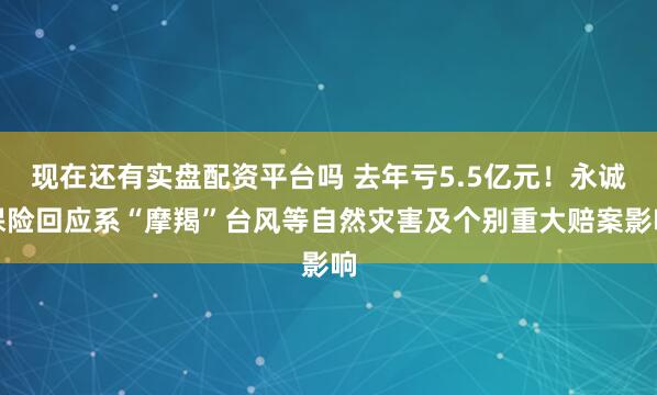 现在还有实盘配资平台吗 去年亏5.5亿元！永诚保险回应系“摩羯”台风等自然灾害及个别重大赔案影响