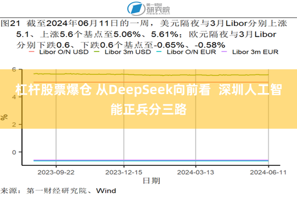 杠杆股票爆仓 从DeepSeek向前看  深圳人工智能正兵分三路